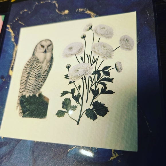 Other - Owl and Floral Art Print